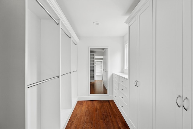 walk in closet featuring dark wood-style flooring