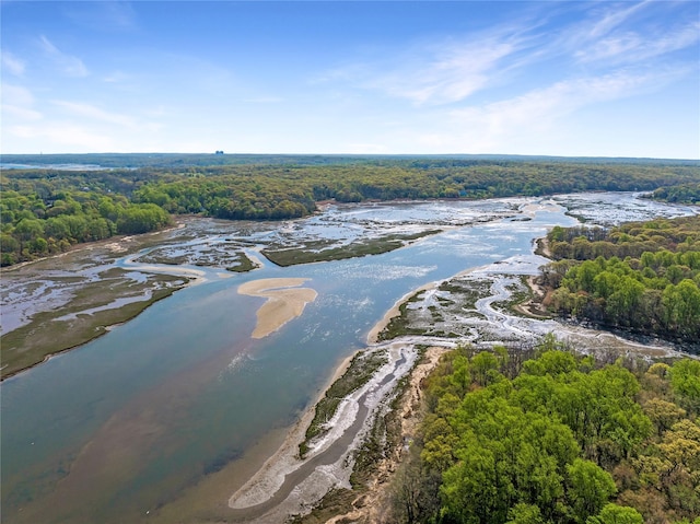 drone / aerial view with a view of trees and a water view