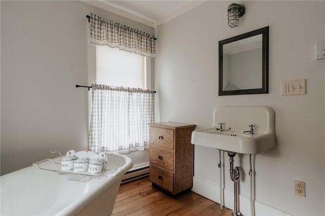 bathroom with a baseboard radiator, a sink, and wood-type flooring