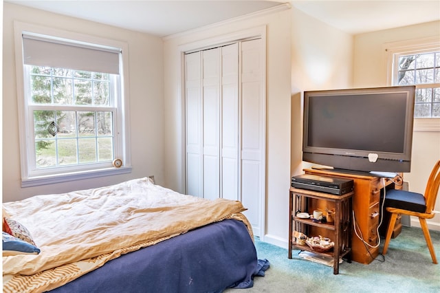 20 Bowers Dr, Hurleyville, NY 12747 - bedroom featuring carpet floors and a closet