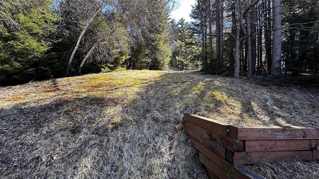 734 Cooley Rd, Parksville, NY 12768 - view of yard featuring a forest view