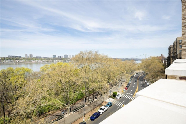 710 Riverside Dr Unit 6B, New York Manhattan, NY 10031 - view of water feature with a view of city