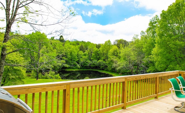 306 Cutler Rd, Swan Lake, NY 12783 - photo 3