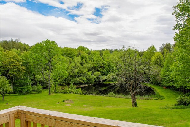 306 Cutler Rd, Swan Lake, NY 12783 - photo 4