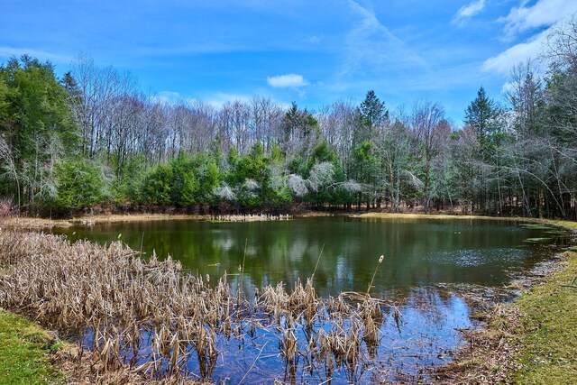 306 Cutler Rd, Swan Lake, NY 12783 - photo 13