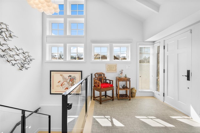 living area featuring a towering ceiling