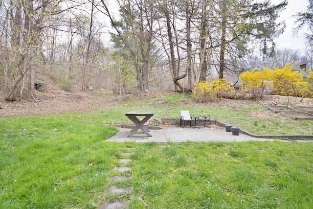 9 Old Albany Post Rd N, Cold Spring, NY 10516 - view of yard featuring a patio area