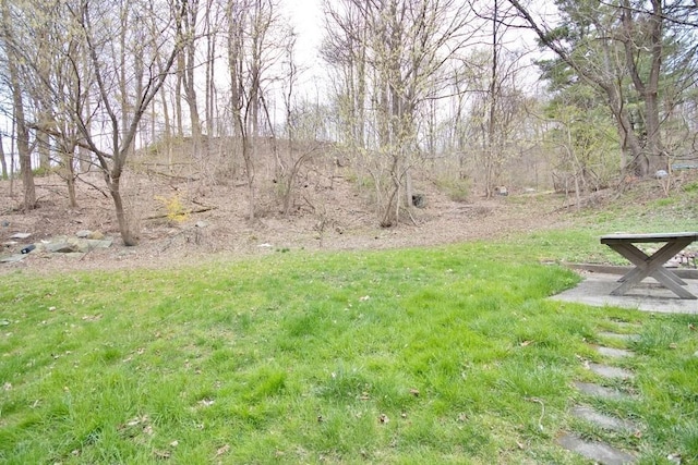 9 Old Albany Post Rd N, Cold Spring, NY 10516 - view of yard