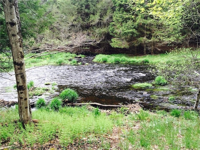 Chapin Trl, Bethel, NY 12720 - photo 2