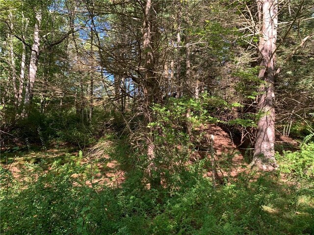 Chapin Trl, Bethel, NY 12720 - photo 5