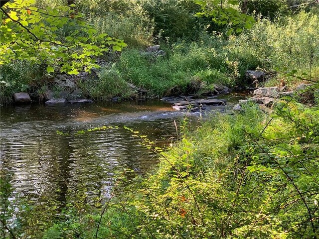 Chapin Trl, Bethel, NY 12720 - photo 6