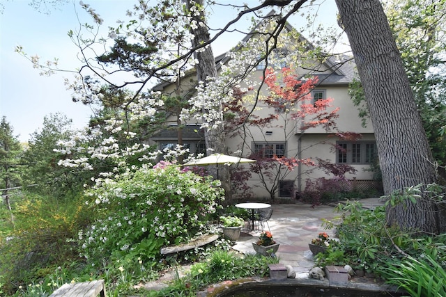 view of yard featuring a patio