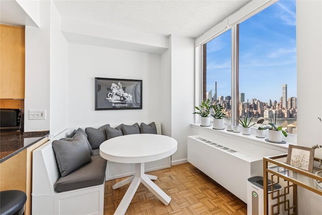 4-74 48th Ave Unit Ph4D, Long Island City, NY 11109 - living area featuring a skyline view and a textured ceiling