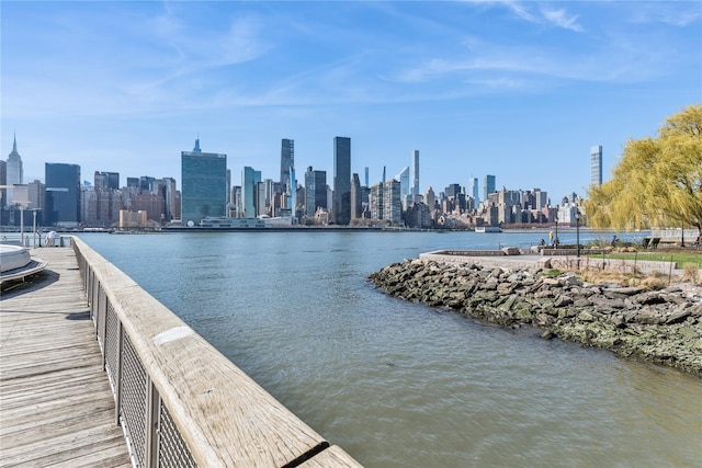 4-74 48th Ave Unit Ph4D, Long Island City, NY 11109 - water view with skyline