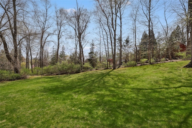 view of yard
