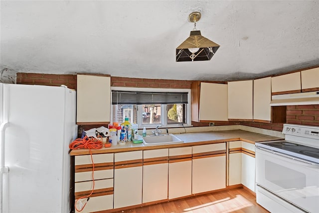 kitchen featuring light wood-style flooring, a sink, light countertops, under cabinet range hood, and white appliances