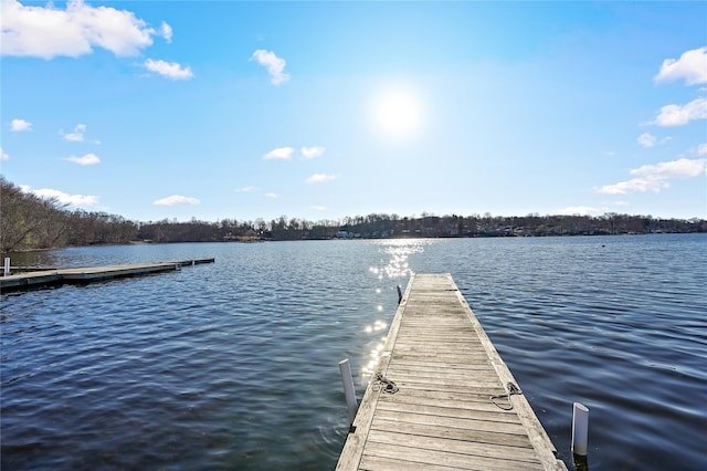 dock area featuring a water view