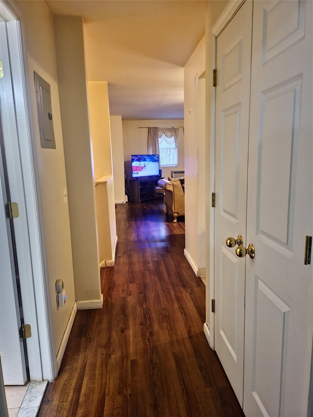 hall featuring baseboards, electric panel, and dark wood finished floors