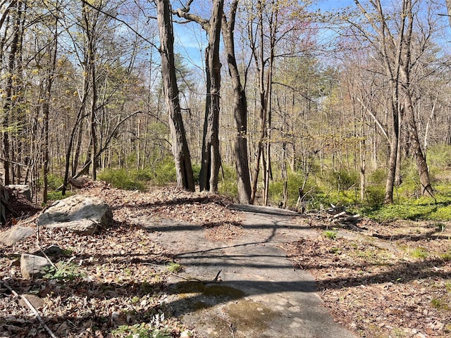 11 Maple St, Esopus, NY 12471 - view of road featuring a wooded view