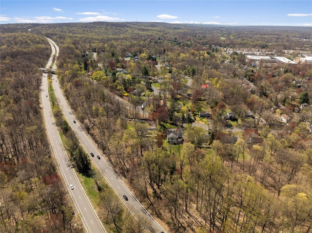 bird's eye view with a view of trees