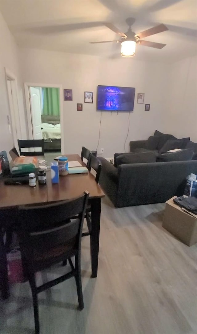 dining room with a ceiling fan and light wood-style floors