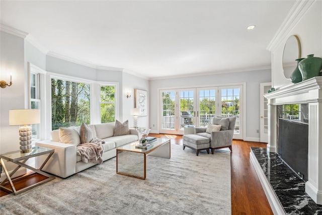 32 Pryer Ln, Larchmont, NY 10538 - living area featuring crown molding, a healthy amount of sunlight, wood finished floors, and a fireplace