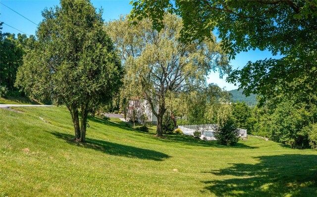 135 S Quaker Hill Rd, Patterson, NY 12563 - photo 11