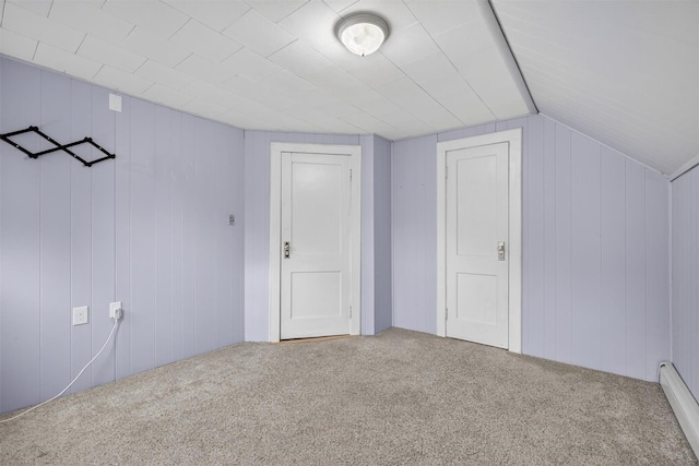 155 Tuckers Corners Rd, Plattekill, NY 12528 - additional living space featuring carpet, a baseboard radiator, vaulted ceiling, and wood walls