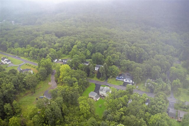 155 Tuckers Corners Rd, Plattekill, NY 12528 - view of property location featuring a heavily wooded area