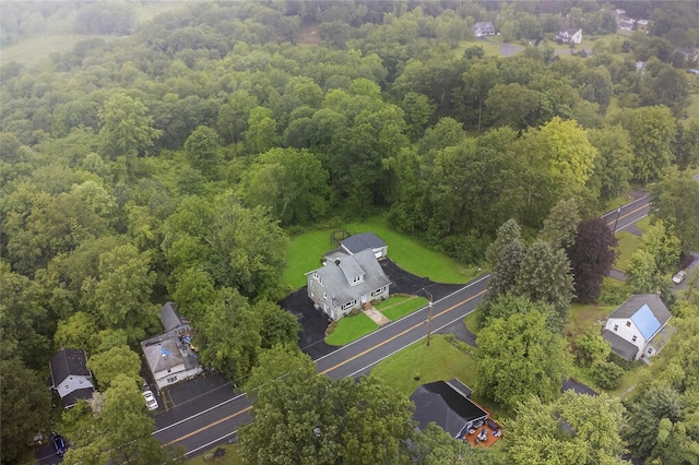 155 Tuckers Corners Rd, Plattekill, NY 12528 - drone / aerial view of a heavily wooded area