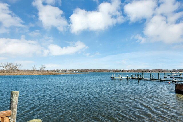 23 Wavecrest Dr, Mastic Beach, NY 11951 - photo 29