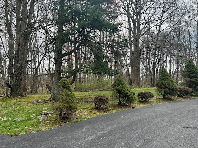 view of road