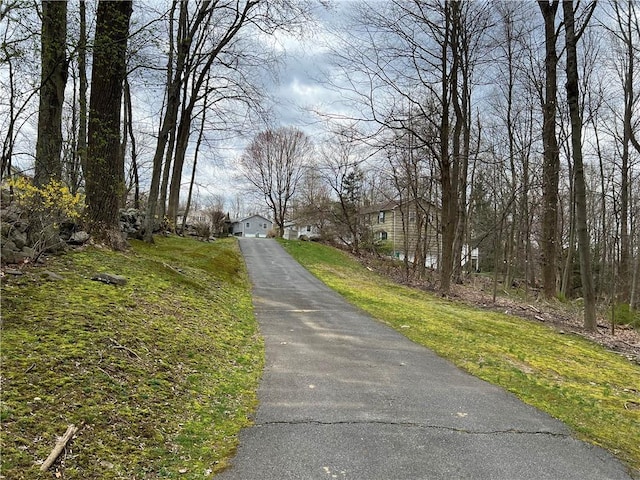 view of road featuring driveway