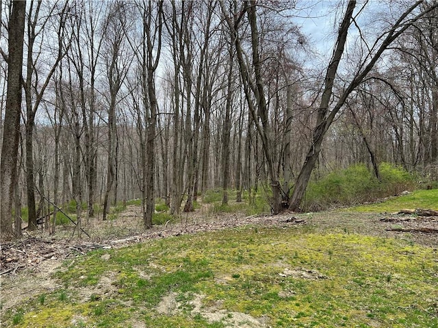 view of landscape with a view of trees
