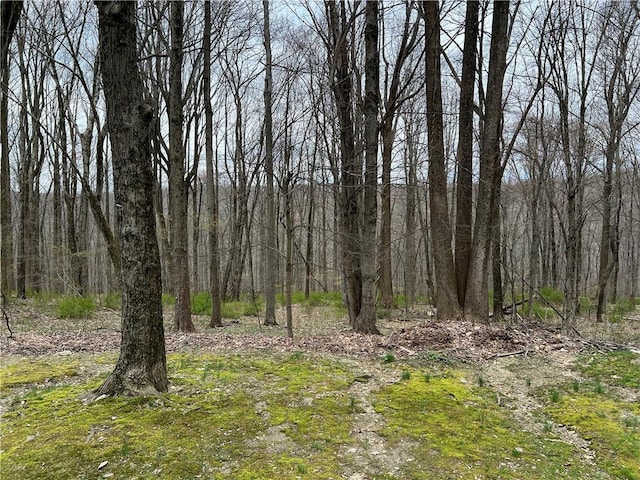 view of landscape with a wooded view