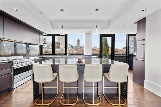 kitchen with a tray ceiling, a center island, a view of city, decorative backsplash, and stainless steel range