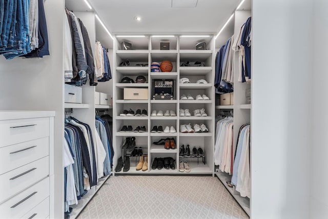view of spacious closet