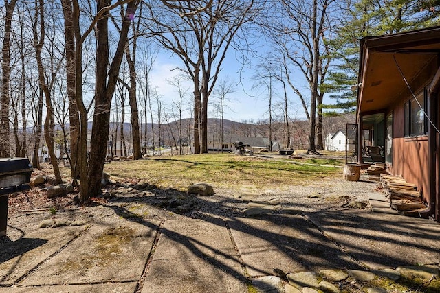 view of yard featuring a mountain view