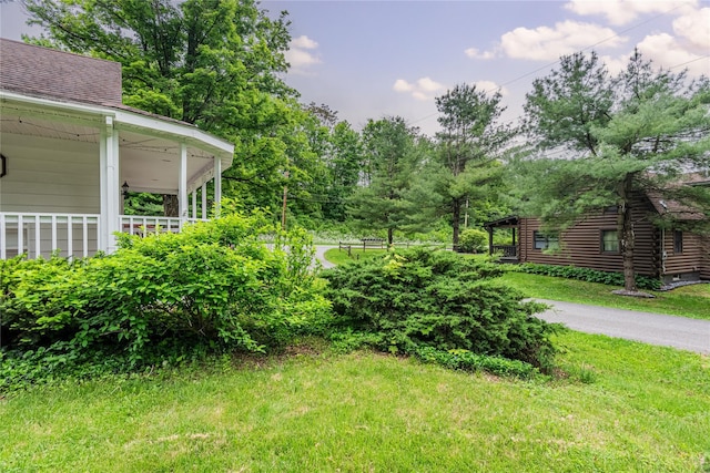 6 Swain Dr, Pleasant Valley, NY 12569 - view of green lawn