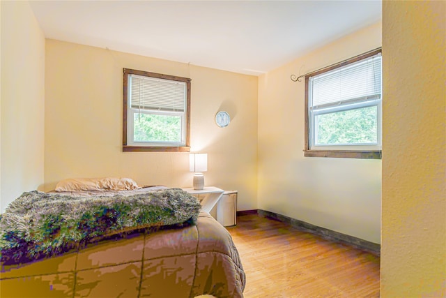 6 Swain Dr, Pleasant Valley, NY 12569 - bedroom with light wood-style flooring and baseboards