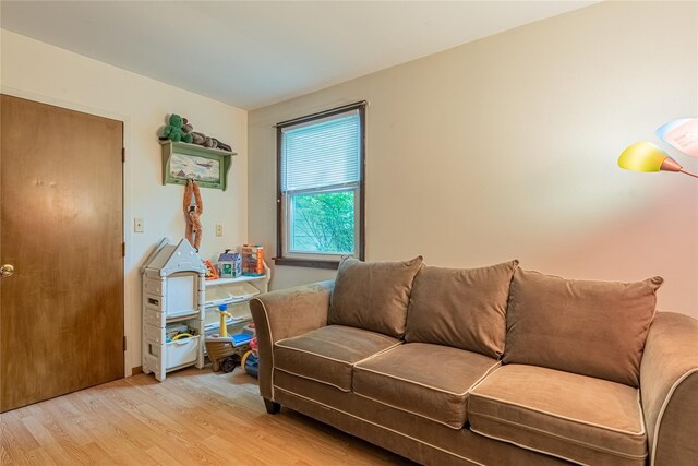 6 Swain Dr, Pleasant Valley, NY 12569 - living room with light wood-style floors