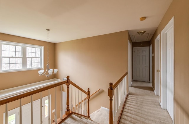 corridor with light colored carpet, an upstairs landing, a chandelier, and attic access