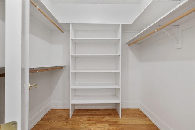 5 Francis Pl Unit 214, Monsey, NY 10952 - spacious closet with wood finished floors