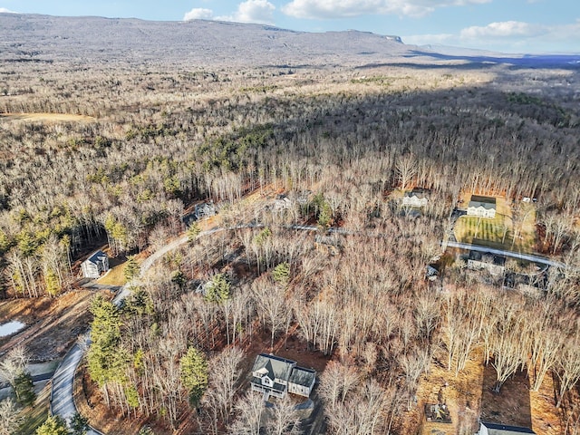 aerial view featuring a mountain view