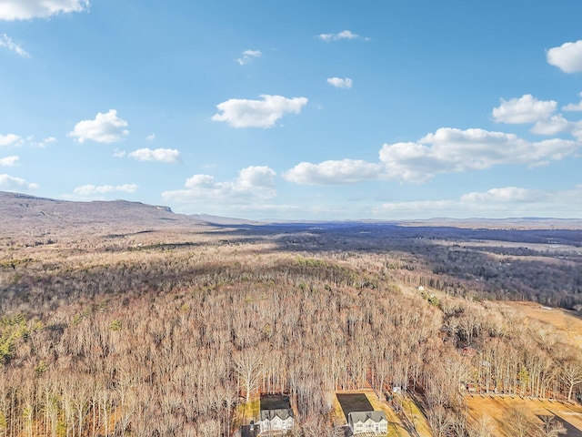 drone / aerial view featuring a mountain view and a view of trees