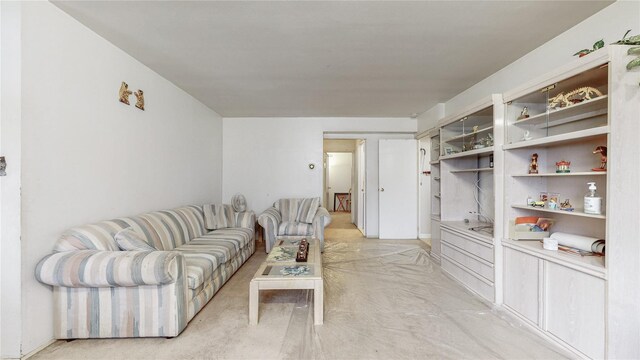 111-09 62nd Dr, Forest Hills, NY 11375 - living area featuring built in shelves