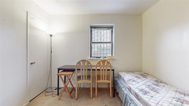 111-09 62nd Dr, Forest Hills, NY 11375 - bedroom featuring light colored carpet