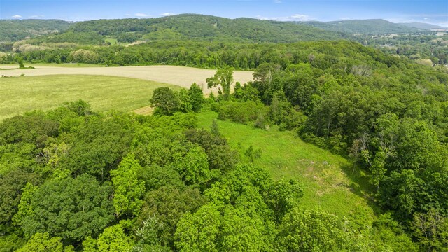 0 Mill Rd, Millerton, NY 12546 - photo 1