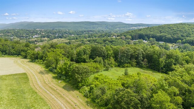 0 Mill Rd, Millerton, NY 12546 - photo 2