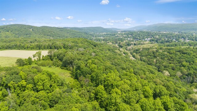 0 Mill Rd, Millerton, NY 12546 - photo 3